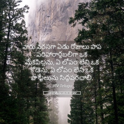 Picture 05 - యెహెజ్కేలు 43:25 TELIRV - వారు వరసగా ఏడు - Bible Verse Picture