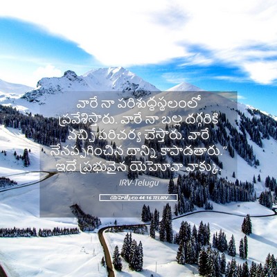 Picture 05 - యెహెజ్కేలు 44:16 TELIRV - వారే నా - Bible Verse Picture