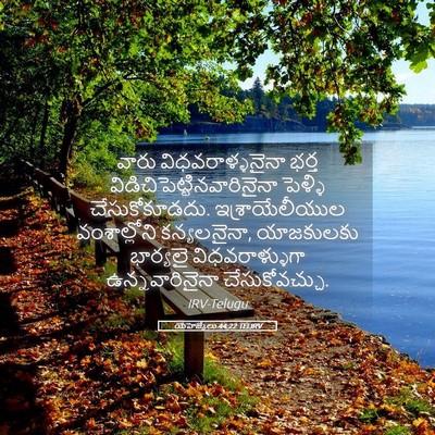 Picture 05 - యెహెజ్కేలు 44:22 TELIRV - వారు - Bible Verse Picture