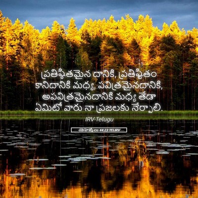 Picture 05 - యెహెజ్కేలు 44:23 TELIRV - ప్రతిష్ఠితమైన - Bible Verse Picture