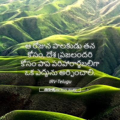 Picture 05 - యెహెజ్కేలు 45:22 TELIRV - ఆ రోజున పాలకుడు తన - Bible Verse Picture