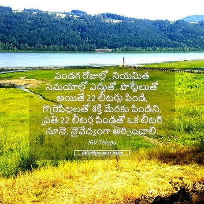 Picture 05 - యెహెజ్కేలు 46:11 TELIRV - పండగ రోజుల్లో, - Bible Verse Picture