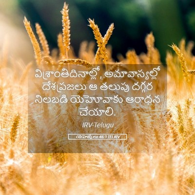 Picture 05 - యెహెజ్కేలు 46:3 TELIRV -  - Bible Verse Picture
