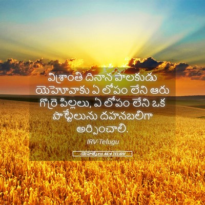 Picture 05 - యెహెజ్కేలు 46:4 TELIRV - విశ్రాంతి దినాన - Bible Verse Picture