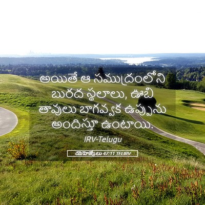 Picture 05 - యెహెజ్కేలు 47:11 TELIRV - అయితే ఆ - Bible Verse Picture