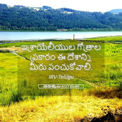 Picture 05 - యెహెజ్కేలు 47:21 TELIRV - ఇశ్రాయేలీయుల - Bible Verse Picture