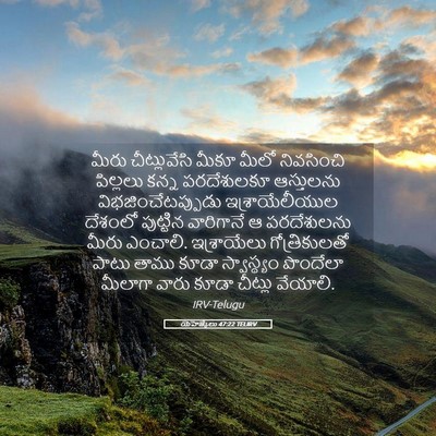 Picture 05 - యెహెజ్కేలు 47:22 TELIRV - మీరు చీట్లువేసి - Bible Verse Picture