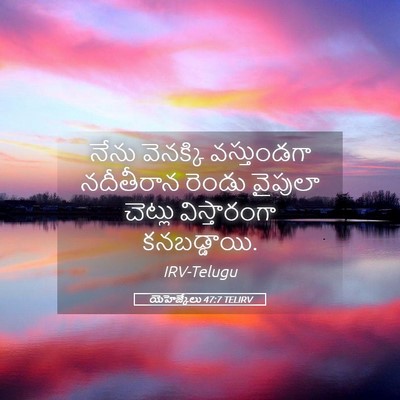 Picture 05 - యెహెజ్కేలు 47:7 TELIRV - నేను వెనక్కి - Bible Verse Picture