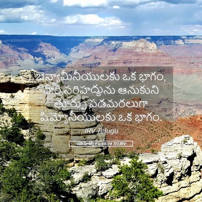 Picture 05 - యెహెజ్కేలు 48:24 TELIRV - బెన్యామీనీయులకు - Bible Verse Picture