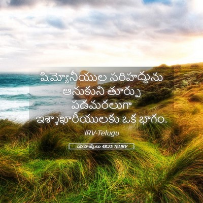 Picture 05 - యెహెజ్కేలు 48:25 TELIRV - షిమ్యోనీయుల - Bible Verse Picture