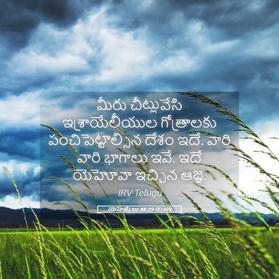 Picture 05 - యెహెజ్కేలు 48:29 TELIRV - మీరు చీట్లువేసి - Bible Verse Picture