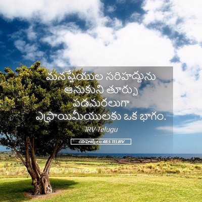 Picture 05 - యెహెజ్కేలు 48:5 TELIRV - మనష్షేయుల - Bible Verse Picture
