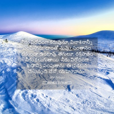 Picture 05 - యెహెజ్కేలు 5:17 TELIRV - నీకు విరోధంగా - Bible Verse Picture