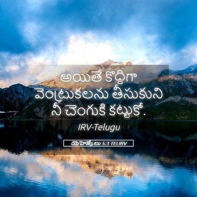 Picture 05 - యెహెజ్కేలు 5:3 TELIRV - అయితే కొద్దిగా - Bible Verse Picture