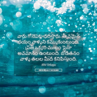 Picture 05 - యెహెజ్కేలు 7:18 TELIRV - వారు గోనెపట్ట - Bible Verse Picture