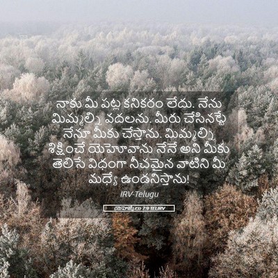 Picture 05 - యెహెజ్కేలు 7:9 TELIRV - నాకు మీ పట్ల - Bible Verse Picture