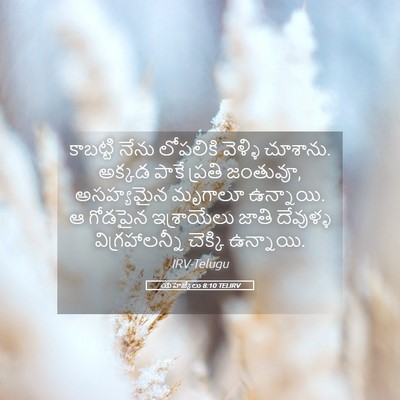 Picture 05 - యెహెజ్కేలు 8:10 TELIRV - కాబట్టి నేను - Bible Verse Picture