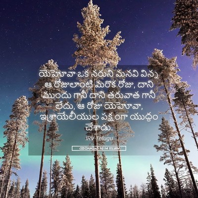 Picture 05 - యెహోషువ 10:14 TELIRV - యెహోవా ఒక నరుని - Bible Verse Picture