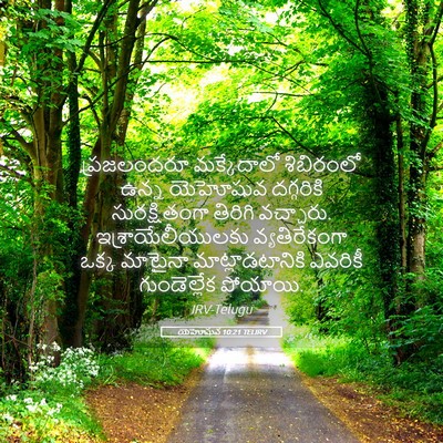 Picture 05 - యెహోషువ 10:21 TELIRV - ప్రజలందరూ - Bible Verse Picture