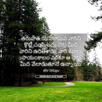Picture 05 - యెహోషువ 10:26 TELIRV - తరువాత యెహోషువ - Bible Verse Picture