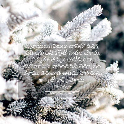 Picture 05 - యెహోషువ 11:11 TELIRV - ఇశ్రాయేలు ప్రజలు - Bible Verse Picture