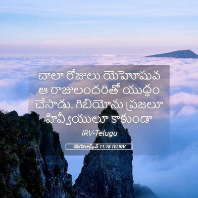 Picture 05 - యెహోషువ 11:18 TELIRV - చాలా రోజులు - Bible Verse Picture
