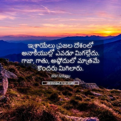Picture 05 - యెహోషువ 11:22 TELIRV - ఇశ్రాయేలు ప్రజల - Bible Verse Picture