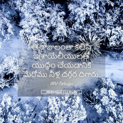 Picture 05 - యెహోషువ 11:5 TELIRV - ఆ రాజులంతా కలిసి - Bible Verse Picture
