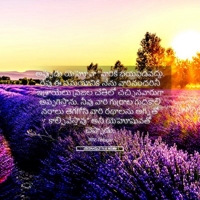Picture 05 - యెహోషువ 11:6 TELIRV - అప్పుడు యెహోవా - Bible Verse Picture