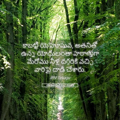 Picture 05 - యెహోషువ 11:7 TELIRV - కాబట్టి యెహోషువ, - Bible Verse Picture