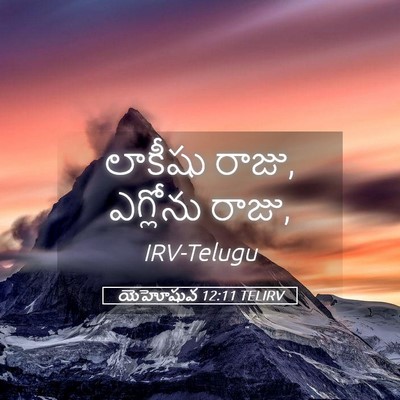 Picture 05 - యెహోషువ 12:11 TELIRV - లాకీషు రాజు, - Bible Verse Picture