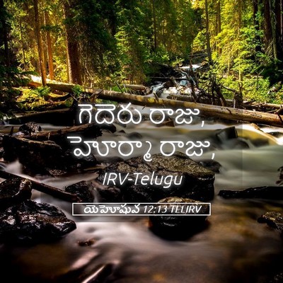 Picture 05 - యెహోషువ 12:13 TELIRV - గెదెరు రాజు, - Bible Verse Picture