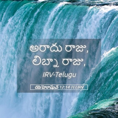 Picture 05 - యెహోషువ 12:14 TELIRV - అరాదు రాజు, లిబ్నా - Bible Verse Picture
