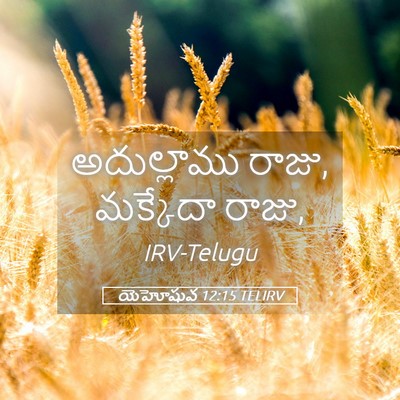 Picture 05 - యెహోషువ 12:15 TELIRV - అదుల్లాము రాజు, - Bible Verse Picture