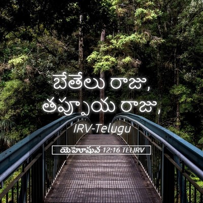 Picture 05 - యెహోషువ 12:16 TELIRV - బేతేలు రాజు, - Bible Verse Picture
