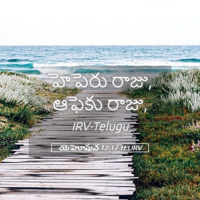Picture 05 - యెహోషువ 12:17 TELIRV - హెపెరు రాజు, ఆఫెకు - Bible Verse Picture