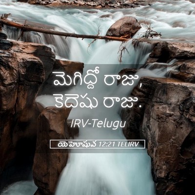 Picture 05 - యెహోషువ 12:21 TELIRV - మెగిద్దో రాజు, - Bible Verse Picture