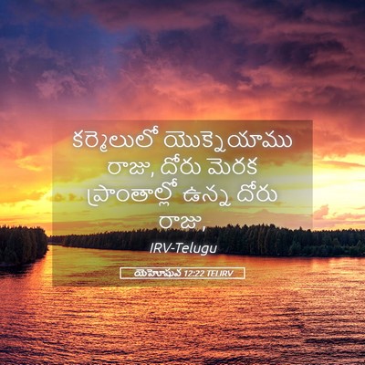Picture 05 - యెహోషువ 12:22 TELIRV - కర్మెలులో - Bible Verse Picture