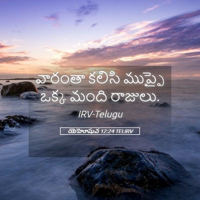 Picture 05 - యెహోషువ 12:24 TELIRV - వారంతా కలిసి - Bible Verse Picture