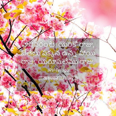 Picture 05 - యెహోషువ 12:9 TELIRV - వారెవరంటే, యెరికో - Bible Verse Picture