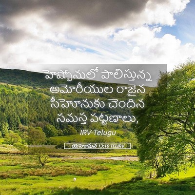 Picture 05 - యెహోషువ 13:10 TELIRV - హెష్బోనులో - Bible Verse Picture