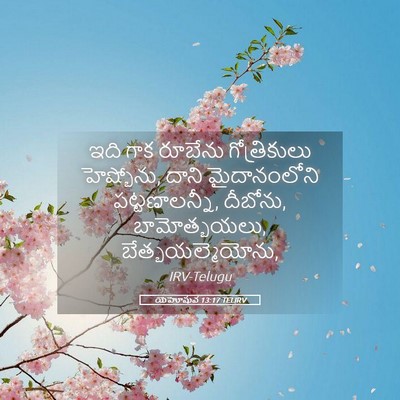 Picture 05 - యెహోషువ 13:17 TELIRV - ఇది గాక రూబేను - Bible Verse Picture