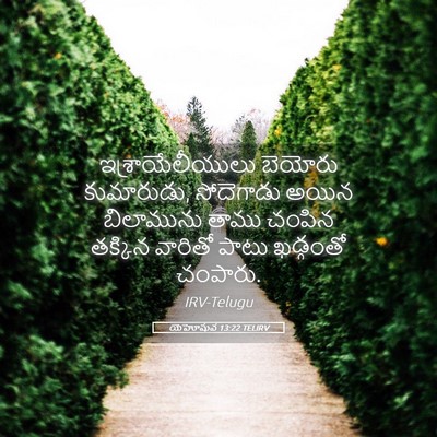 Picture 05 - యెహోషువ 13:22 TELIRV - ఇశ్రాయేలీయులు - Bible Verse Picture