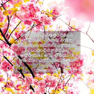 Picture 05 - యెహోషువ 13:3 TELIRV - కనానీయులవైన ఉత్తర - Bible Verse Picture