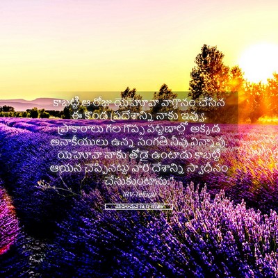 Picture 05 - యెహోషువ 14:12 TELIRV - కాబట్టి ఆ రోజు - Bible Verse Picture