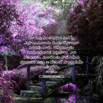 Picture 05 - యెహోషువ 14:4 TELIRV - యోసేపు వంశస్తులైన - Bible Verse Picture