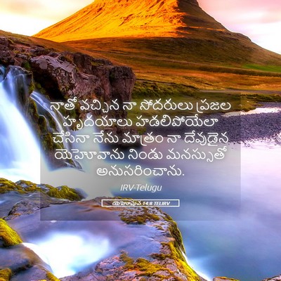 Picture 05 - యెహోషువ 14:8 TELIRV - నాతో వచ్చిన నా - Bible Verse Picture