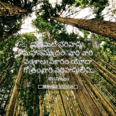 Picture 05 - యెహోషువ 15:12 TELIRV - పడమటి సరిహద్దు - Bible Verse Picture