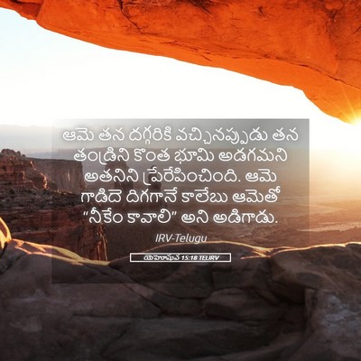 Picture 05 - యెహోషువ 15:18 TELIRV - ఆమె తన దగ్గరికి - Bible Verse Picture