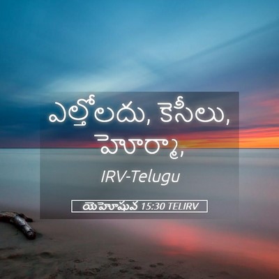 Picture 05 - యెహోషువ 15:30 TELIRV - ఎల్తోలదు, కెసీలు, - Bible Verse Picture